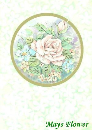 Birthday Card card5116