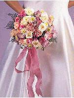 wedd0508