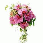 wedd0500