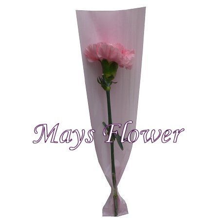 Mother's Day Flower - mothers-day-flower-2673