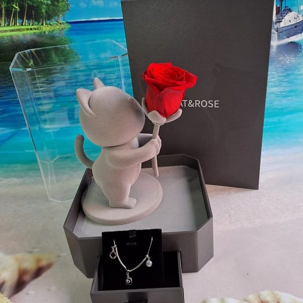 Valentine's Day Flower - white-day-2375