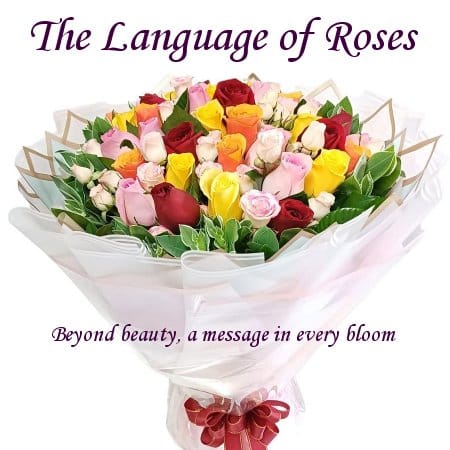 Rose Bouquet